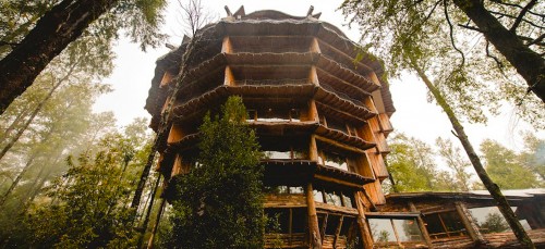 De 8 mooiste Treetop Hotels ter wereld