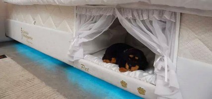 WANT: matras met ingebouwde slaapplek voor je huisdier