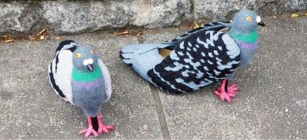 Ondertussen in Japan: duiven pumps maken hun intrede