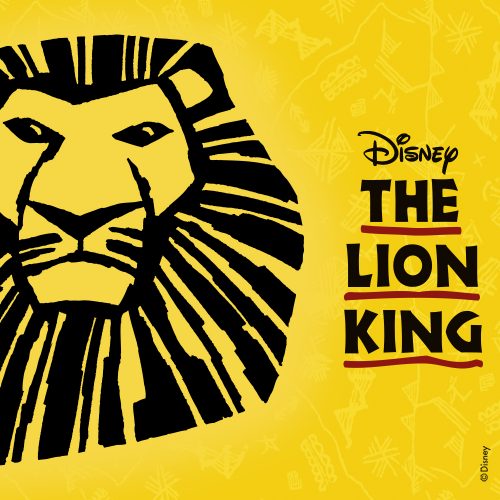 Aanhoudend Preventie kussen GOALS! Ik hees mezelf in een kostuum van 'Disney's The Lion King' en waande  me in Afrika | Enfait