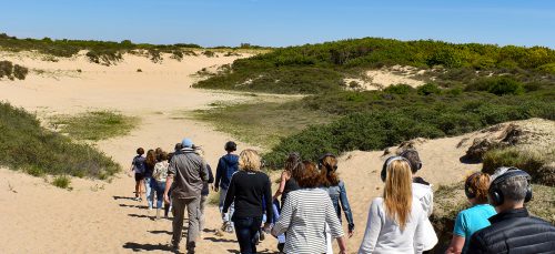 Weekendtip: Healthy Academy Walk met Arie Boomsma