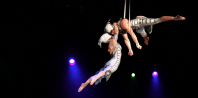 OVO van Cirque du Soleil is een acrobatisch hoogtestandje